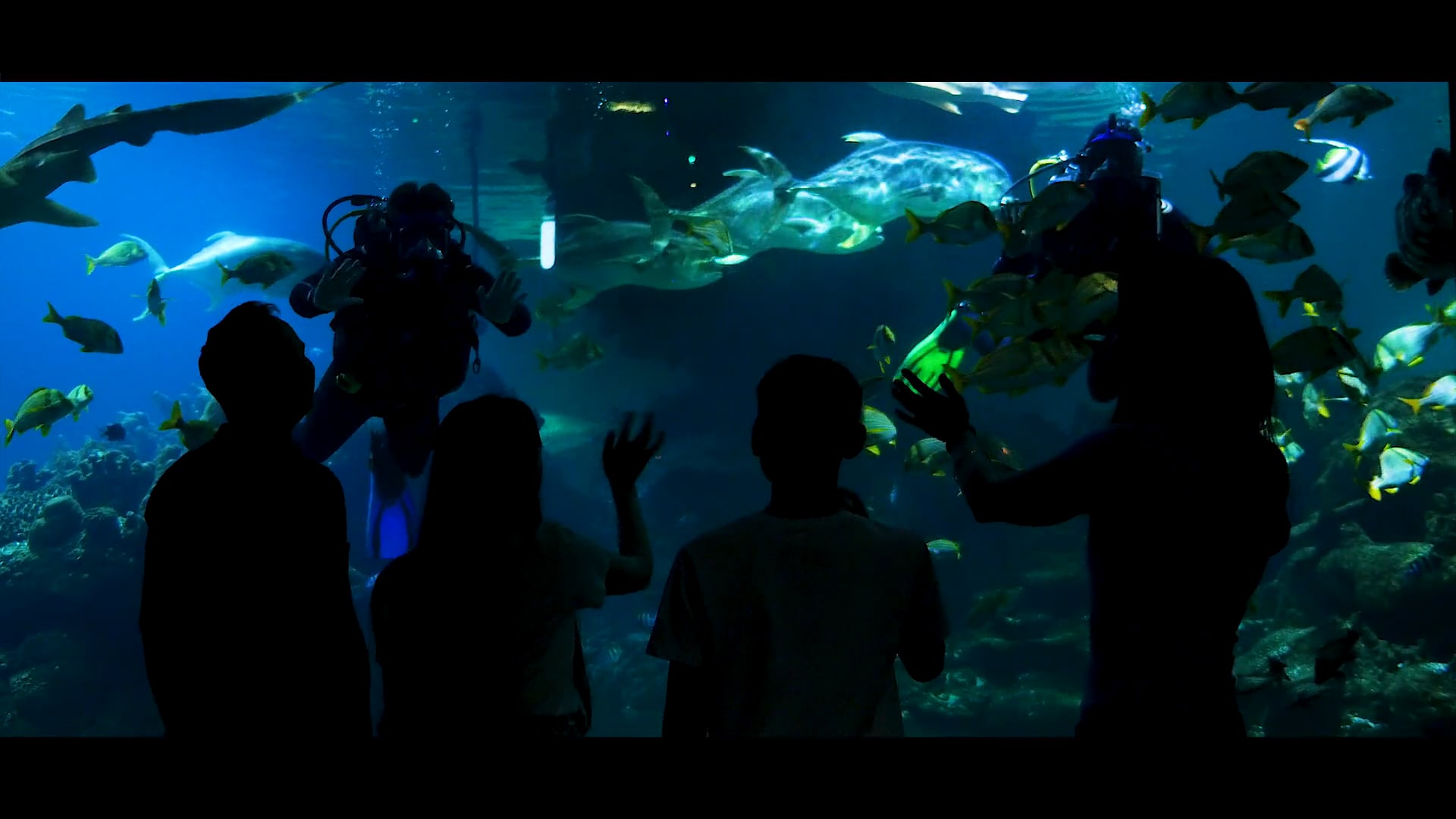 Destination Cheshire Oaks