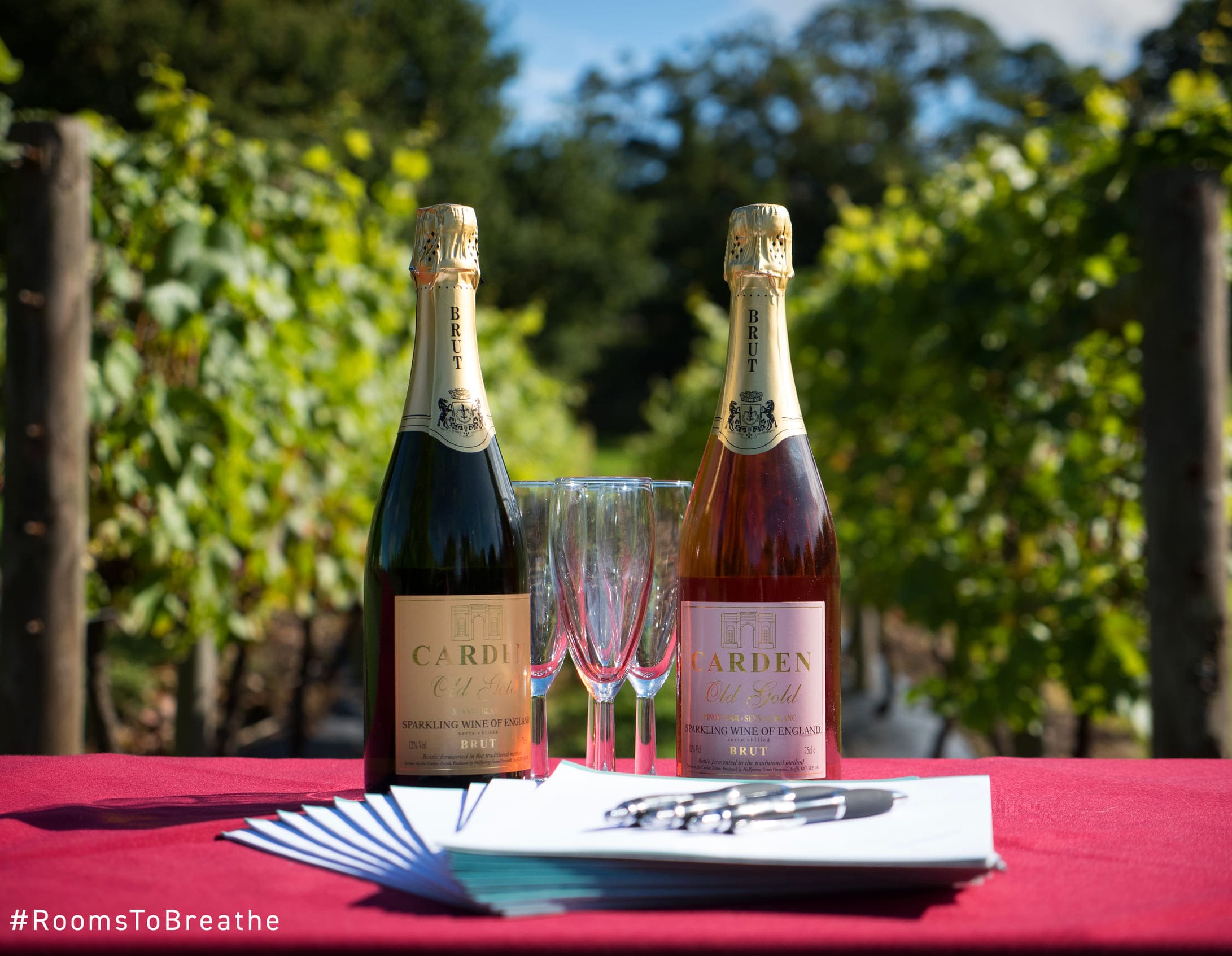 Rooms to breathe campaign